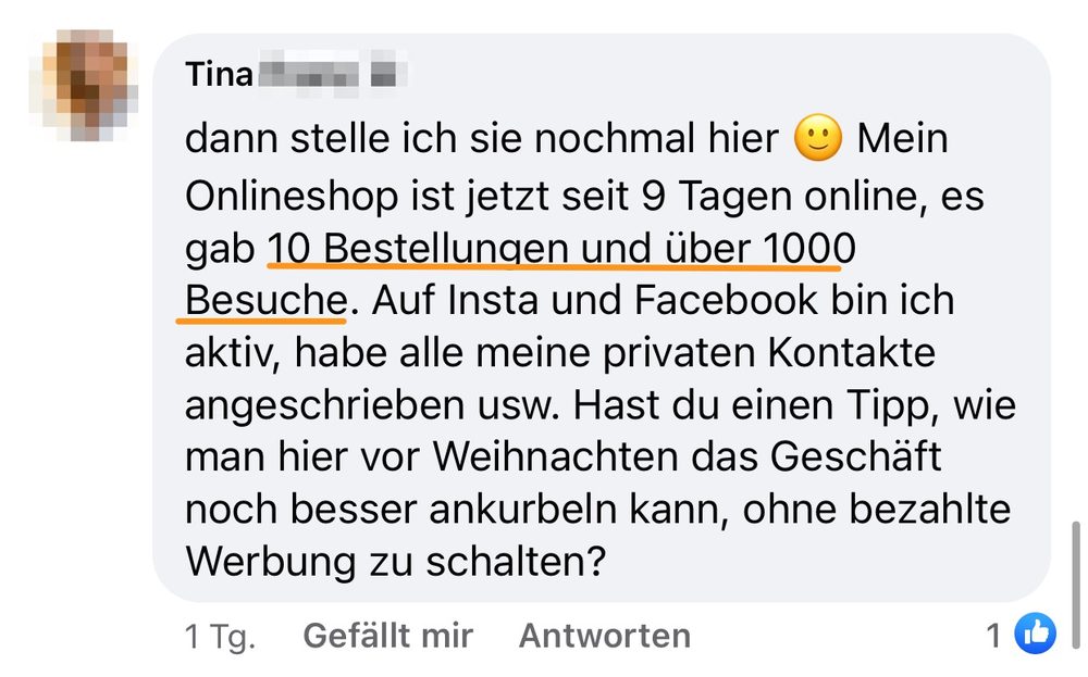 Screenshot: Onlineshop seit 9 Tagen online, 10 Bestellungen und über 1.000 Besuche
